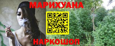 МДПВ Бийск