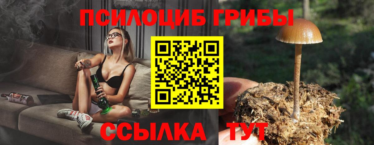 Псилоцибиновые грибы MAGIC MUSHROOMS  продажа наркотиков  Касимов  Вход с VPN 